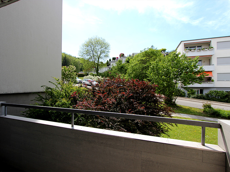 Sehr attraktives Renovationsobjekt im beliebten Allmend-Quartier