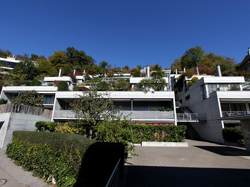 Ein Highlight mit Ausblick auf die Ruine Schloss Stein - 4.5-Zimmer-Terrassenwohnung
